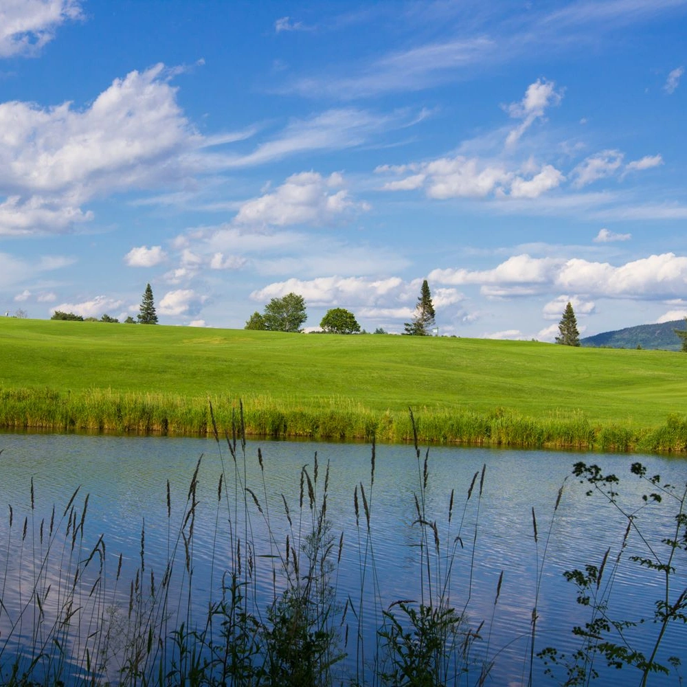 Ryder Brook Golf Club course details VT