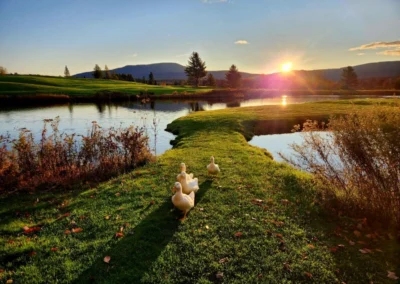 ryder brook golf club gallery 05